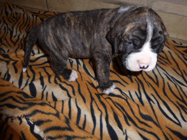 der nächste Schock vor drei Wochen