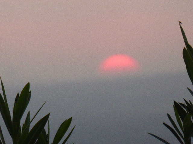 Frühling in Paraguay 2019